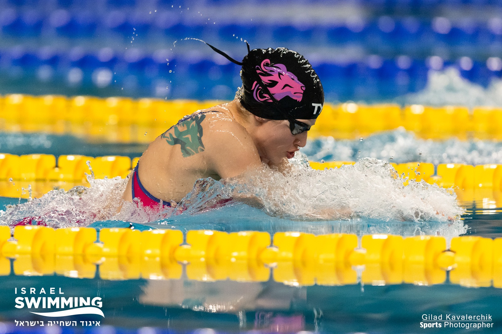 אקדמיית השחייה 11