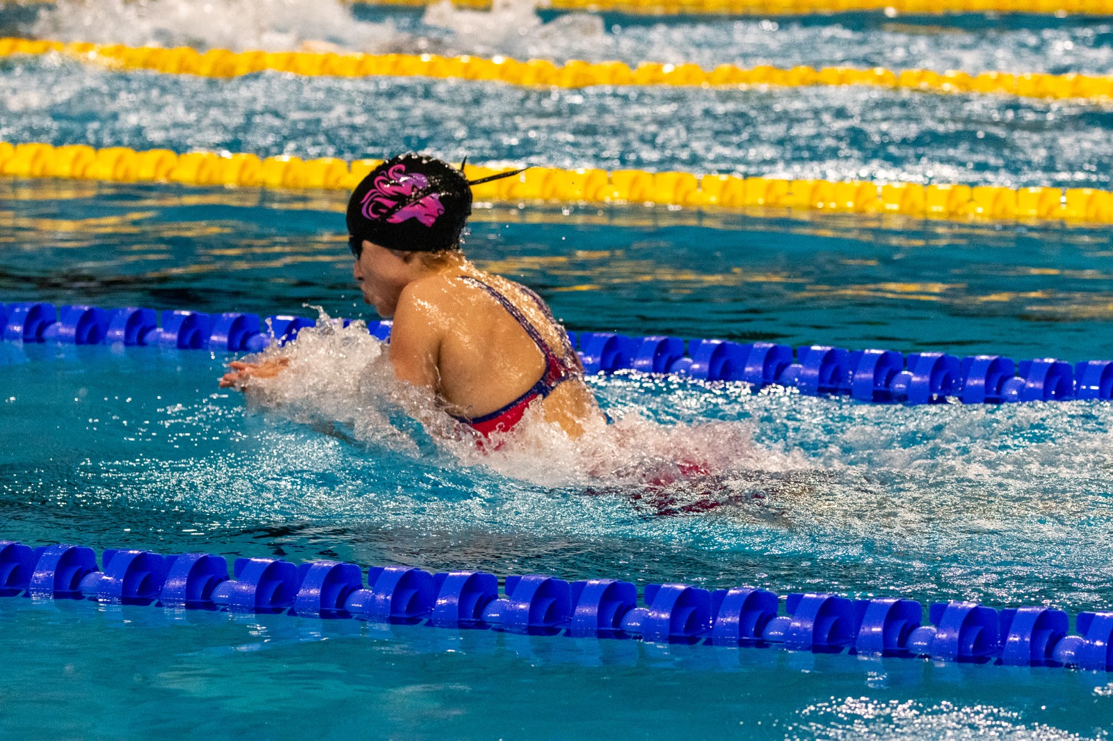 אקדמיית השחייה 3